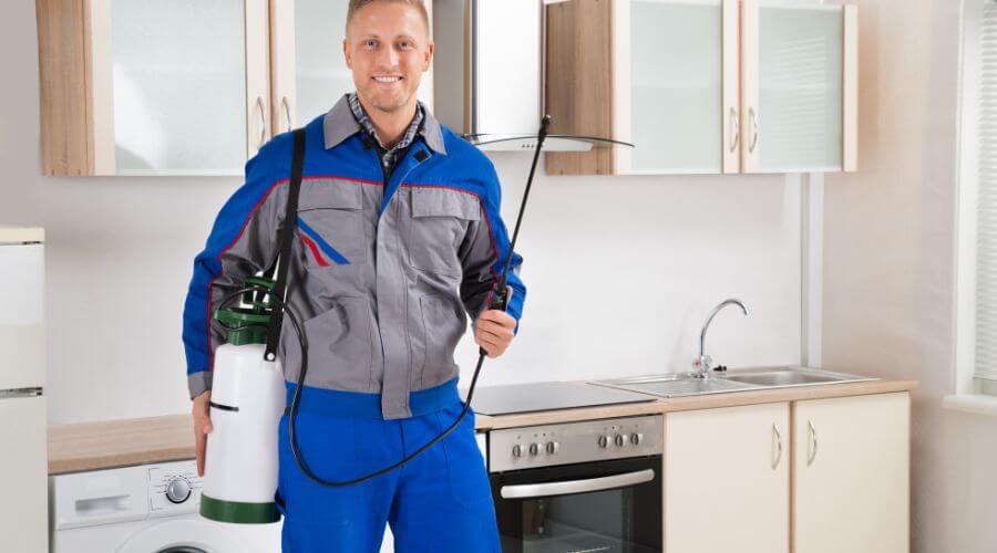 Professional pest extermination services in Powder Springs